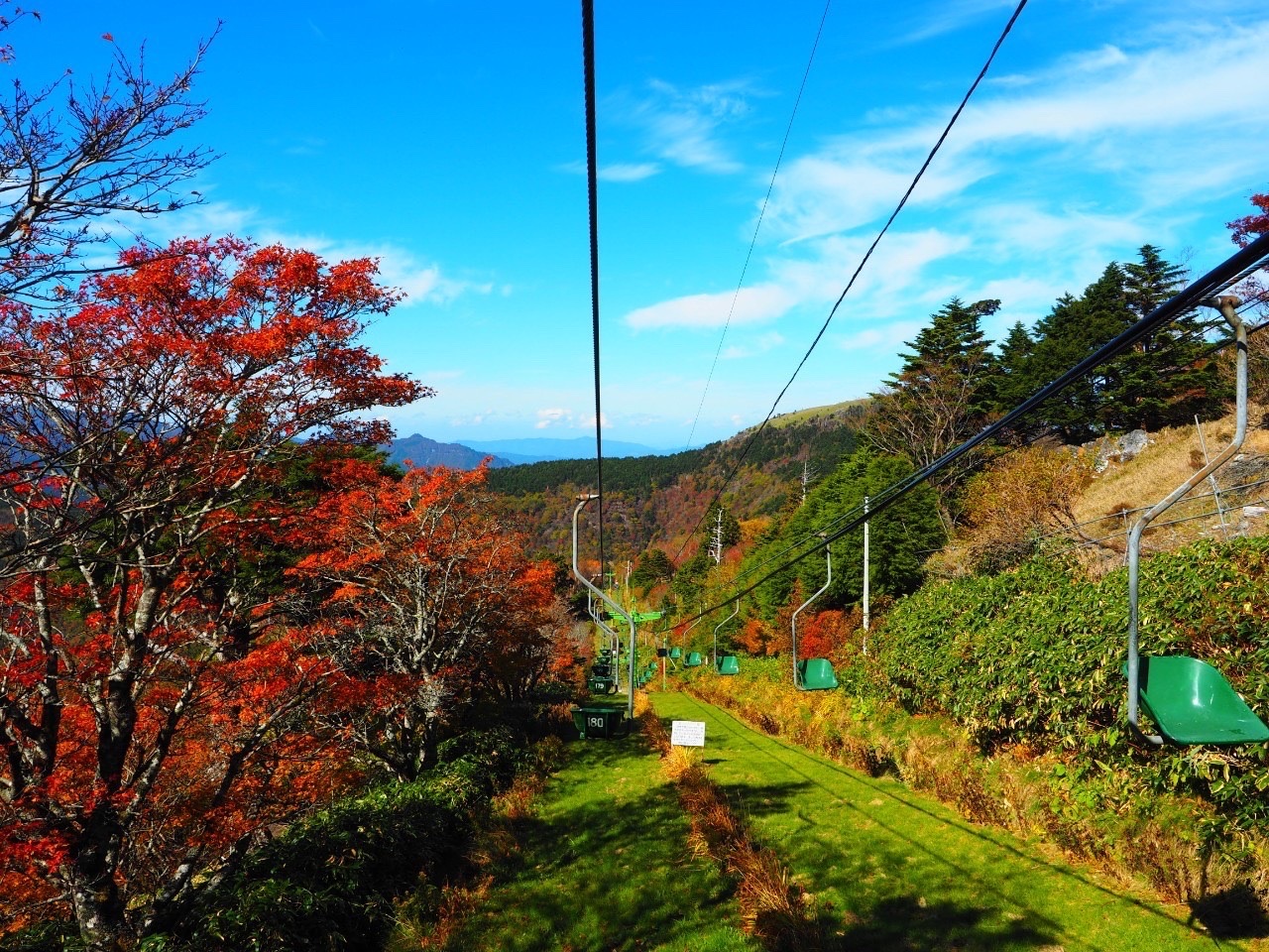 剣山観光登山リフトの索道沿いに広がる赤い紅葉
