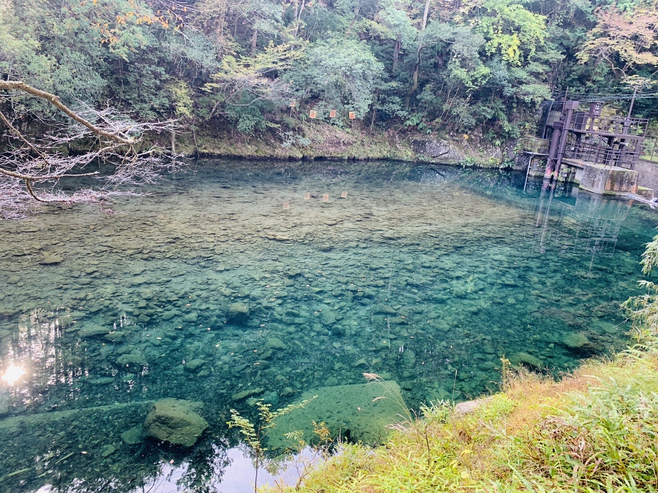 エメラルドグリーンの清滝川の淵