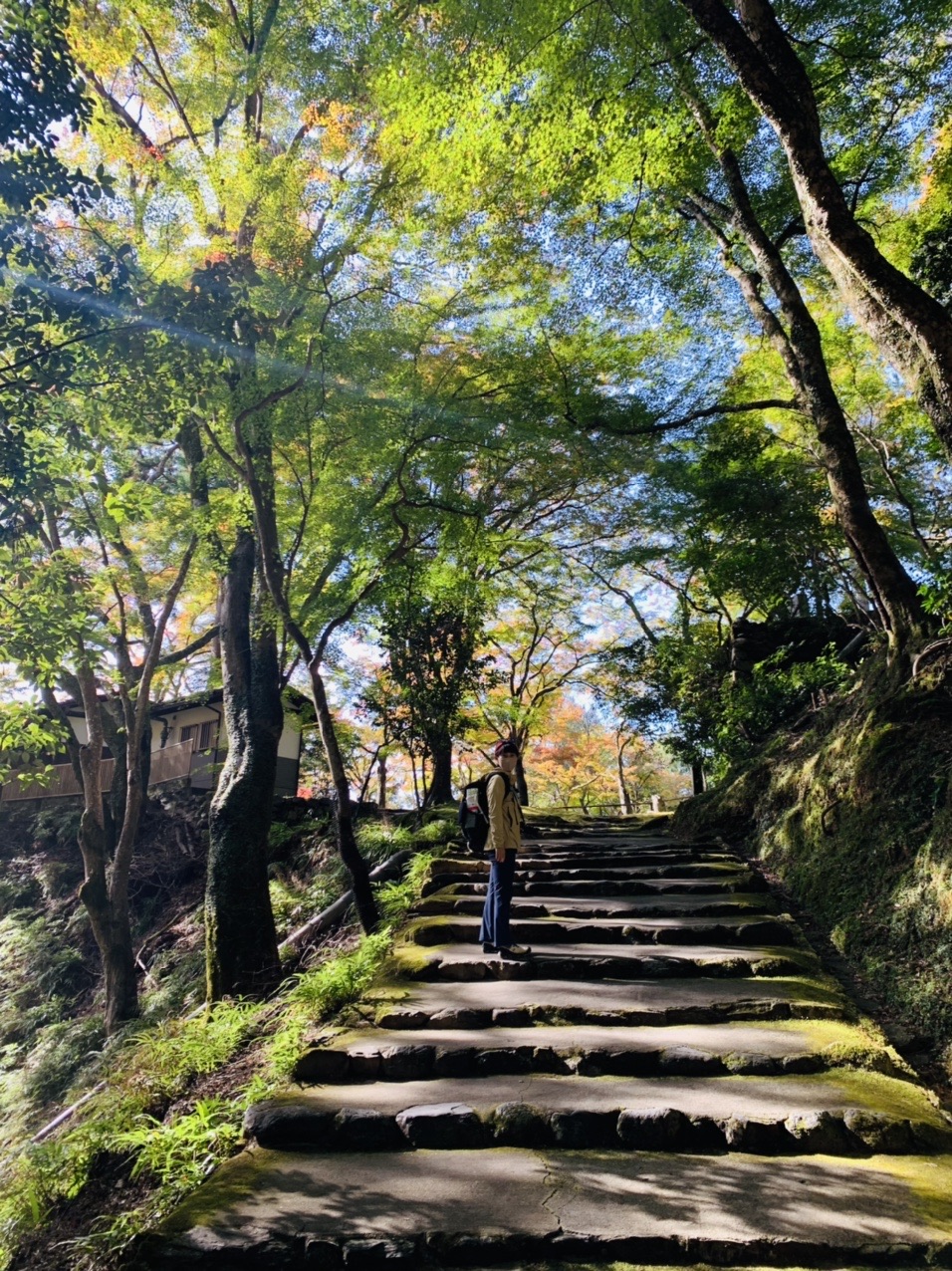 神護寺の苔むした石段