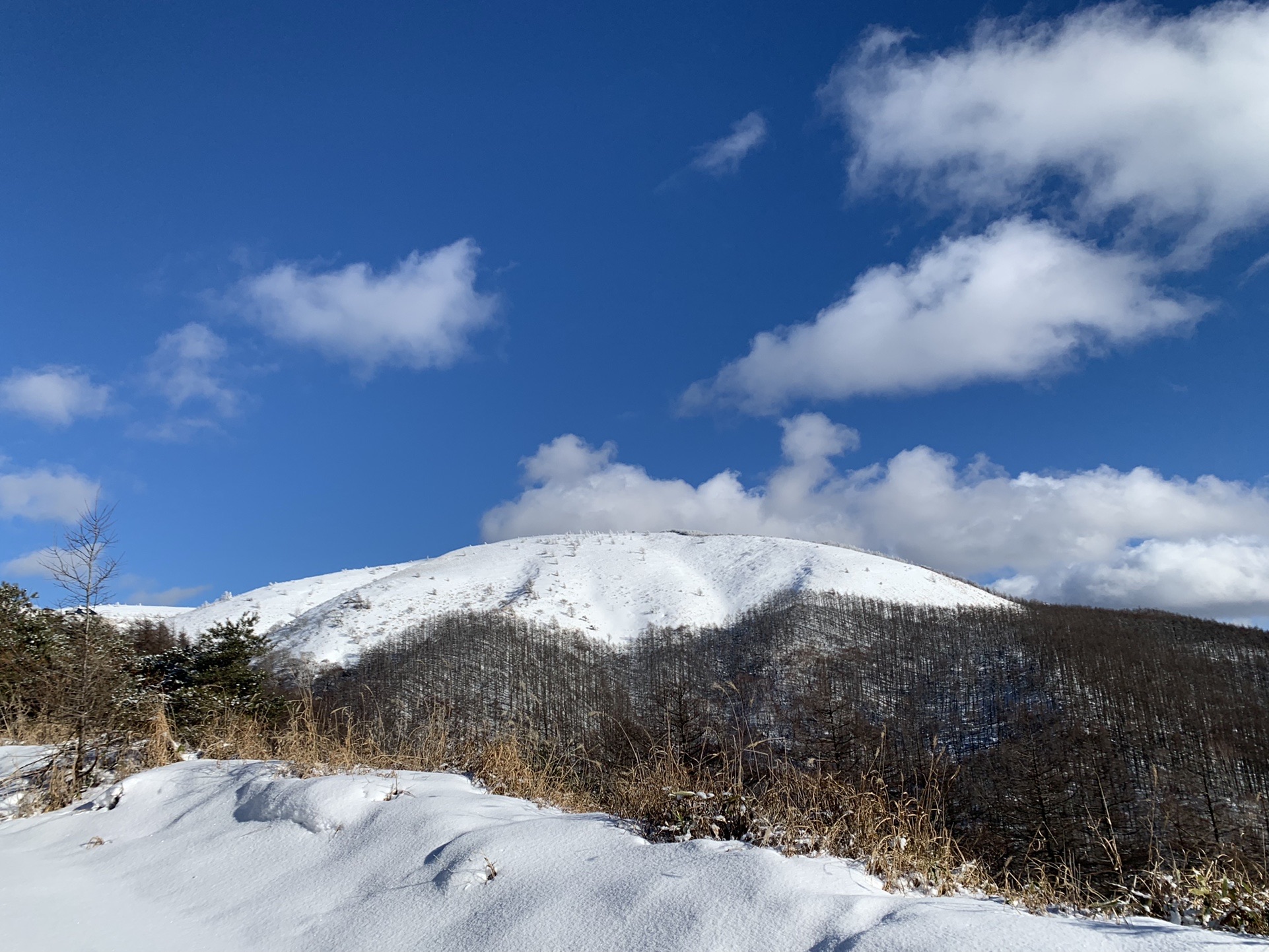 雪をかぶった鉢伏山