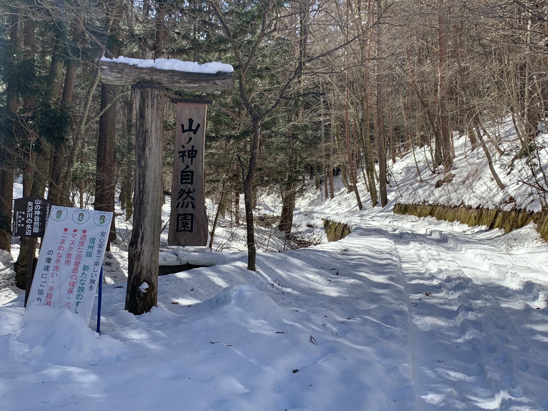 雪に覆われた山ノ神自然園