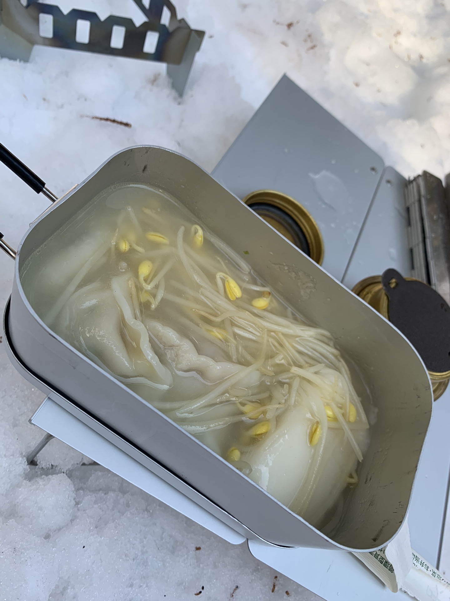 下山後に作った水餃子と豆もやしの鍋