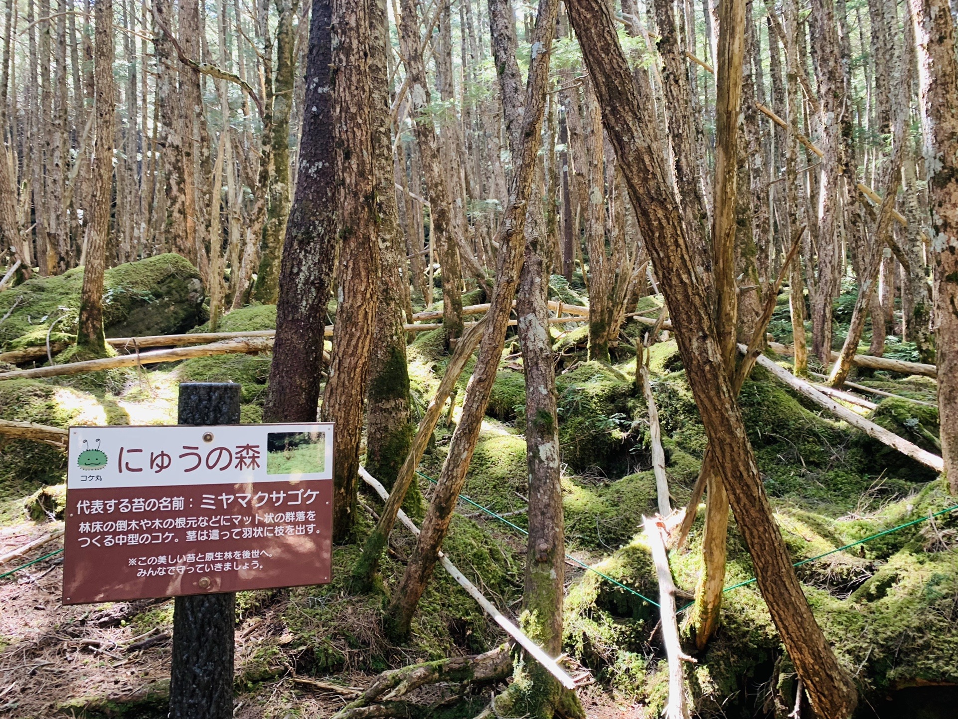 にゅうの森の看板