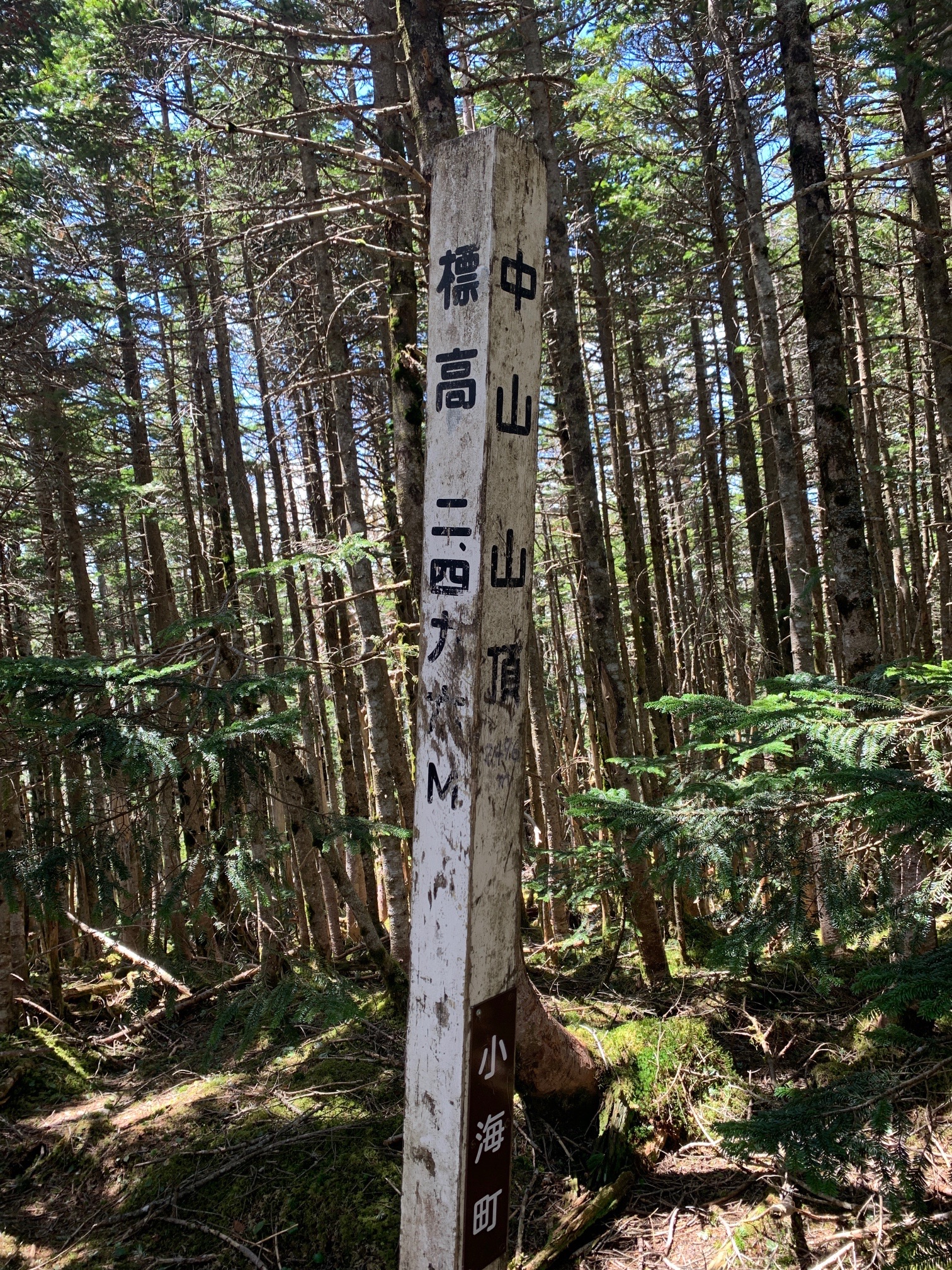 中山の山頂標識