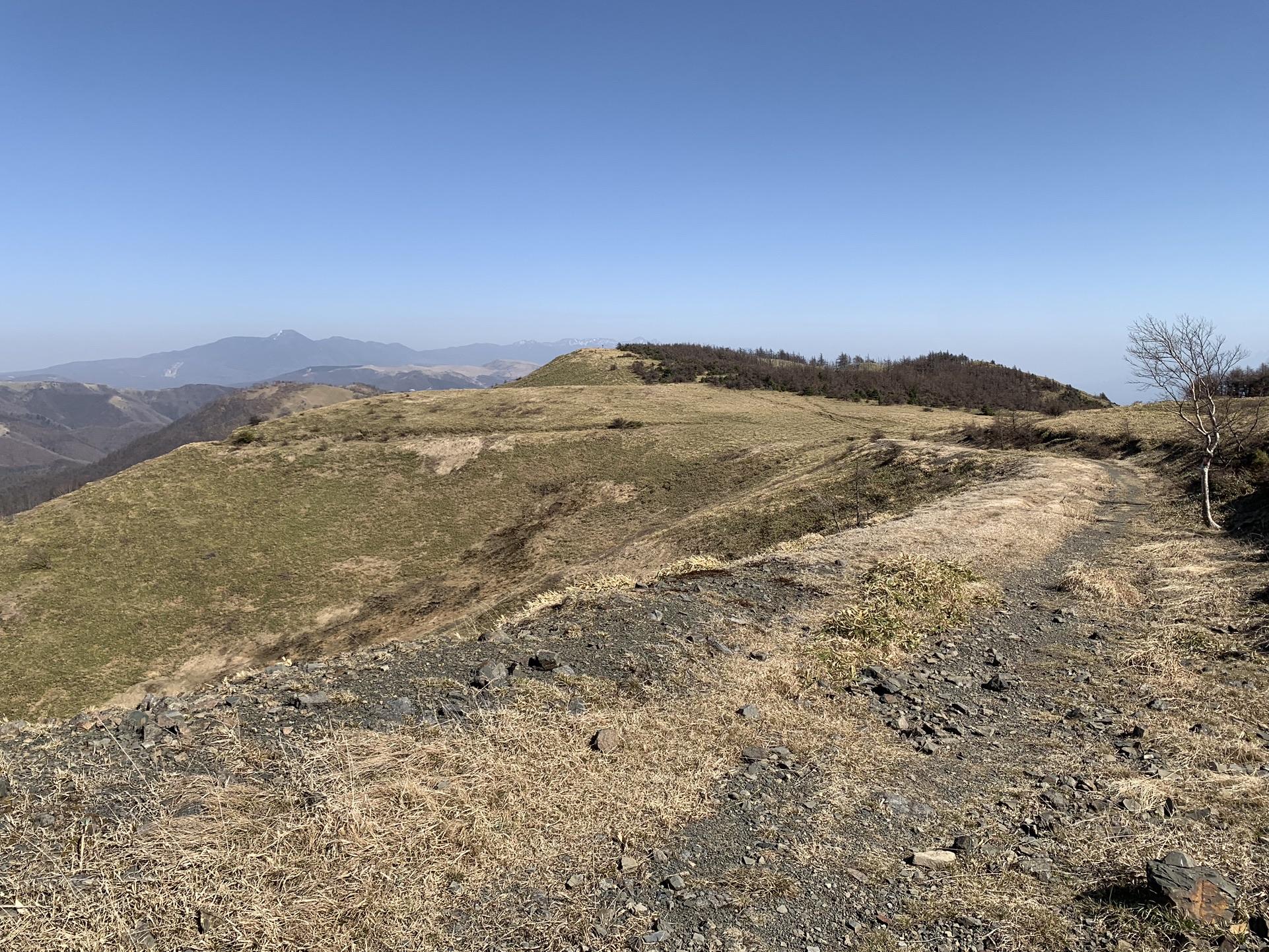 鉢伏山付近の開けた稜線