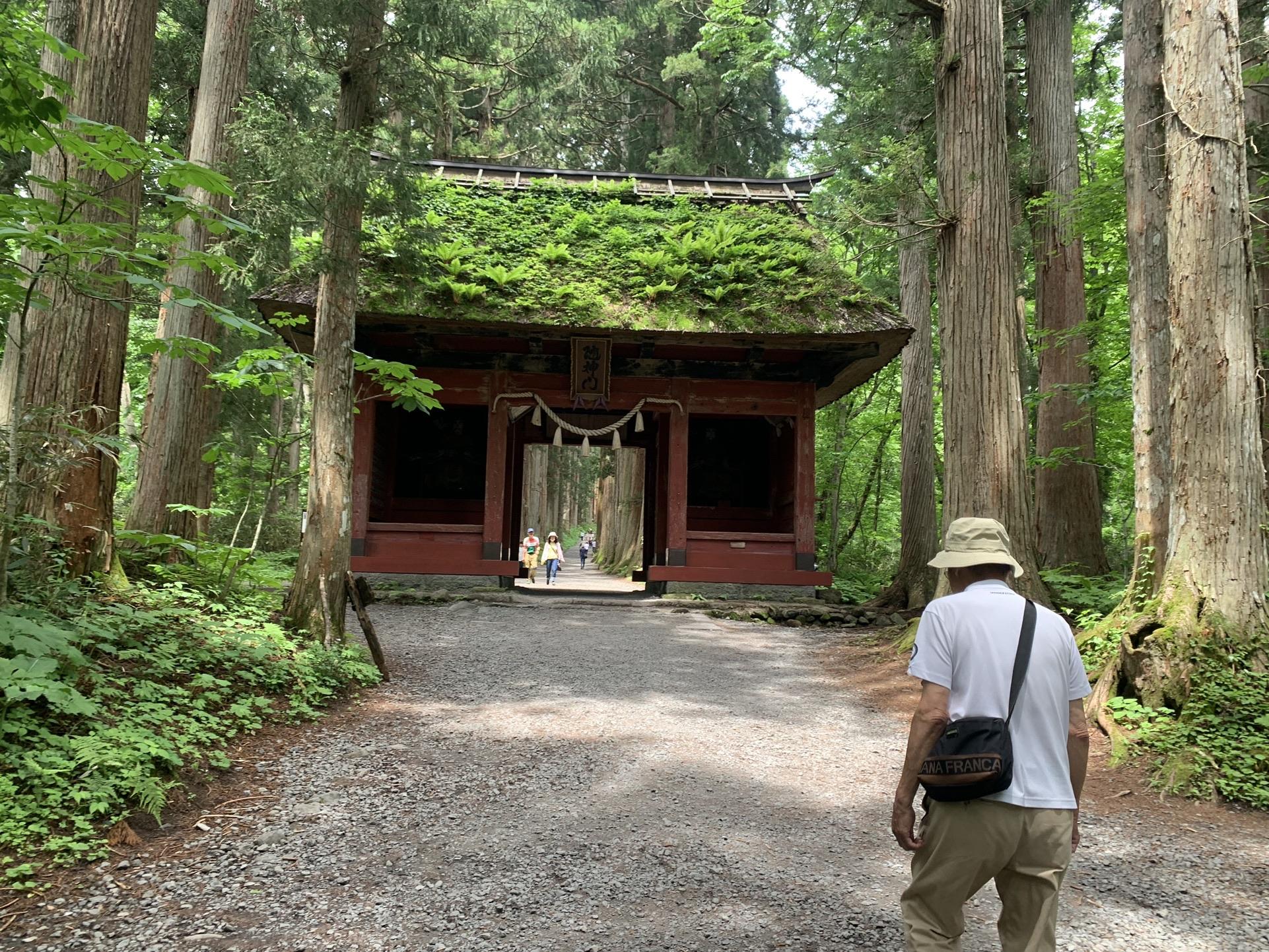 戸隠神社奥社参道の随神門