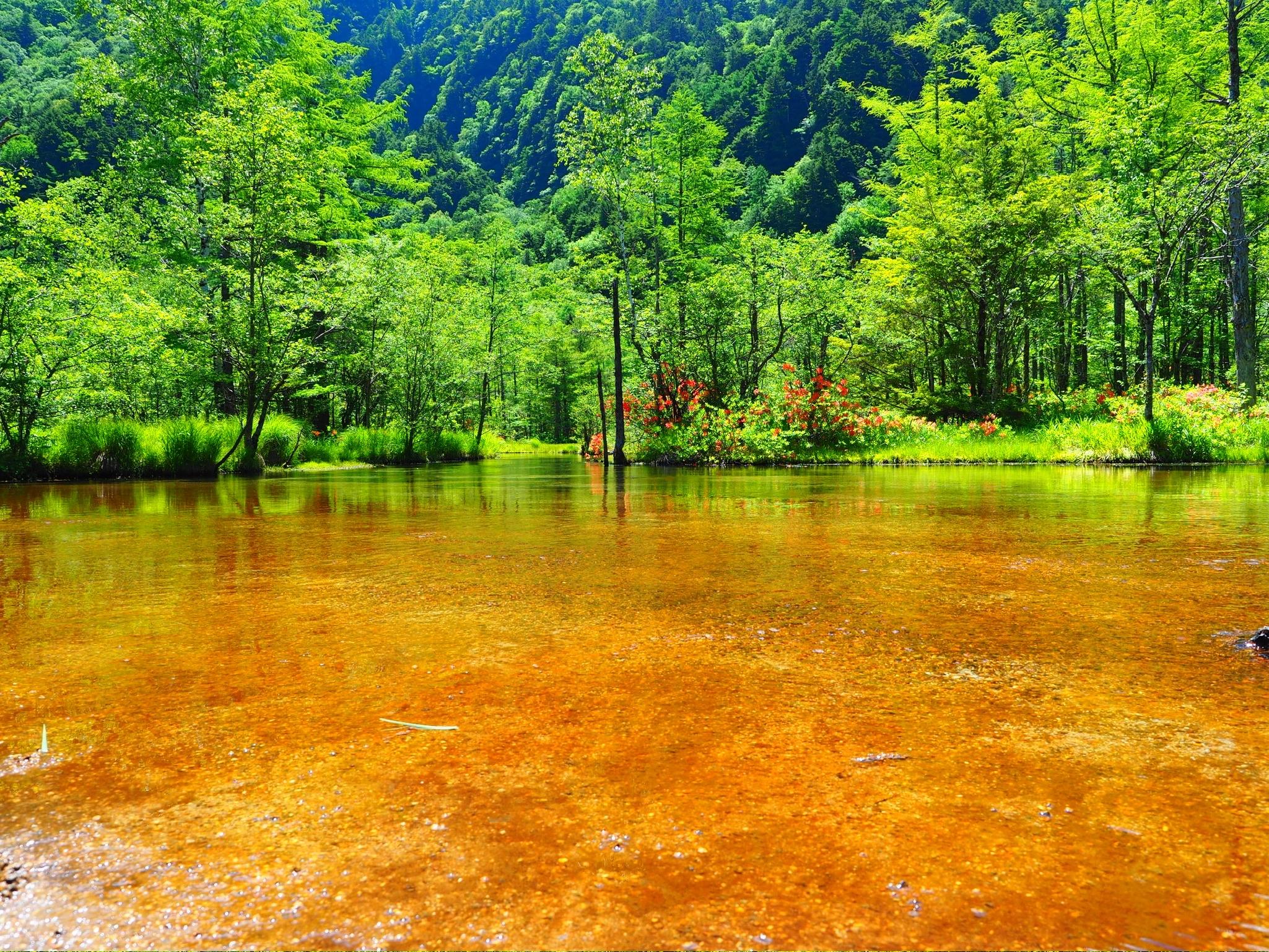 上高地の田代池